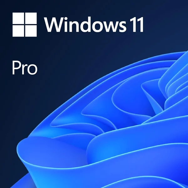 Microsoft Windows 11 Pro OEM license
